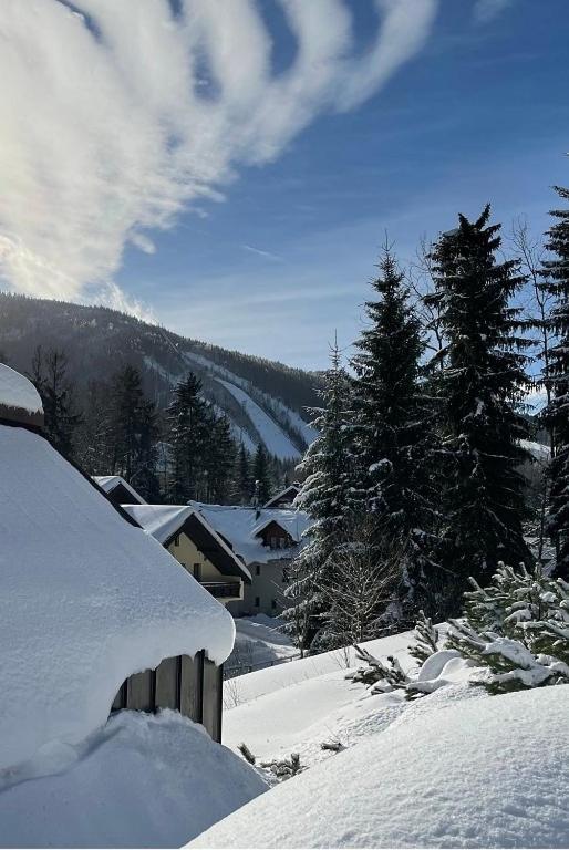 Apartmán Garage Harrachov Exteriér fotografie
